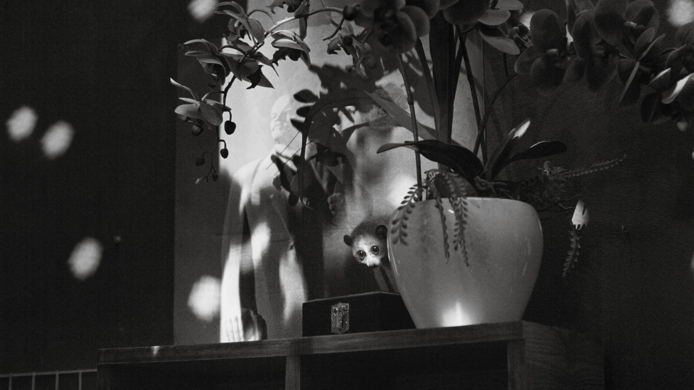 Cu Li Không Bao Giờ Khóc