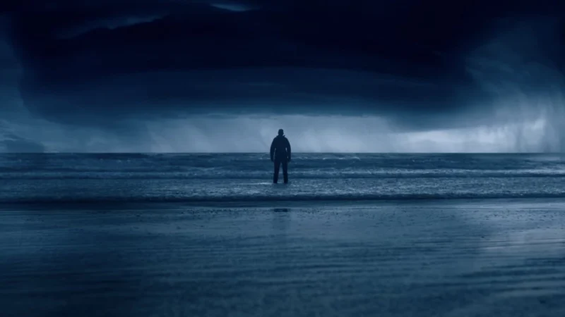 Hải Quỳ Nở Hoa