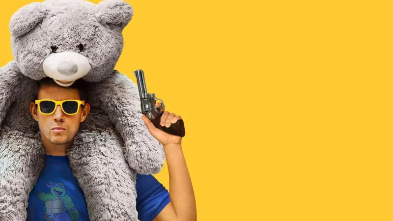 Gã Trộm Trên Trời Rơi Xuống