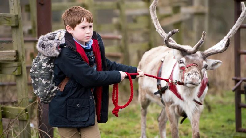 Truy Đuổi Ông Già Noel